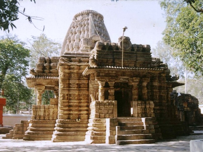 naidunia_image